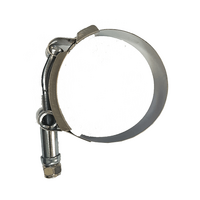 Autotecnica Hose Clamp 2.25" 57-67mm clamp65